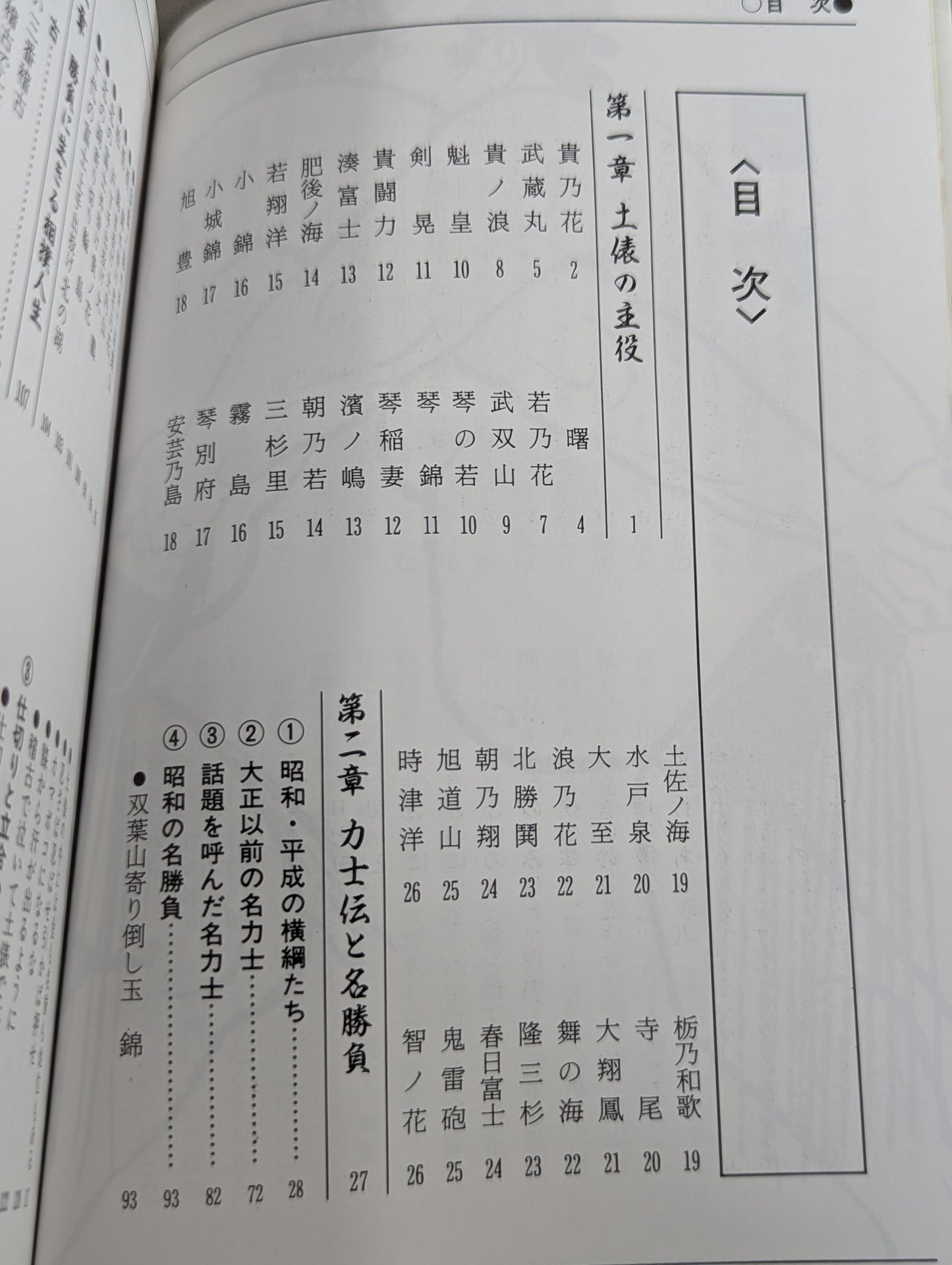 ザ大相撲  95～96年版