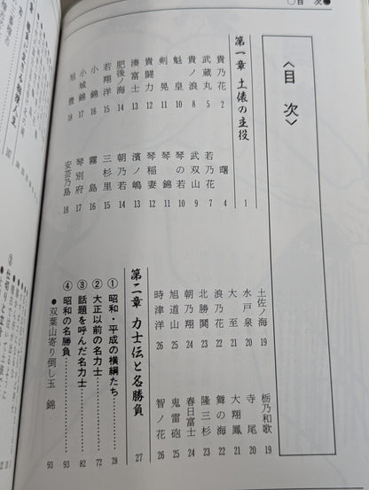 ザ大相撲  95～96年版