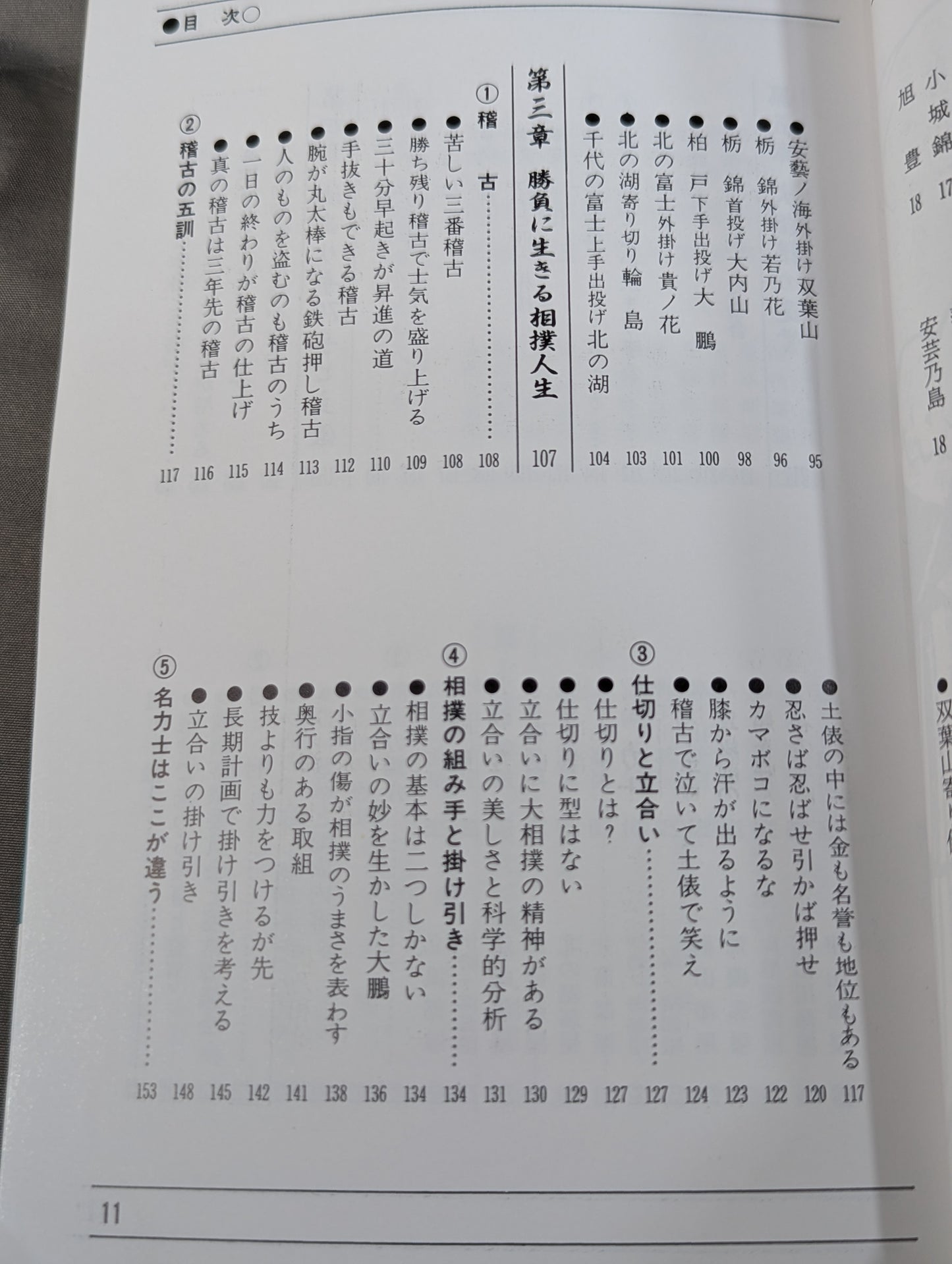 ザ大相撲  95～96年版