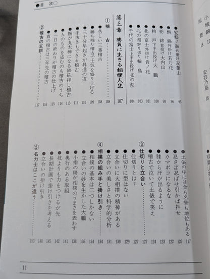 ザ大相撲  95～96年版