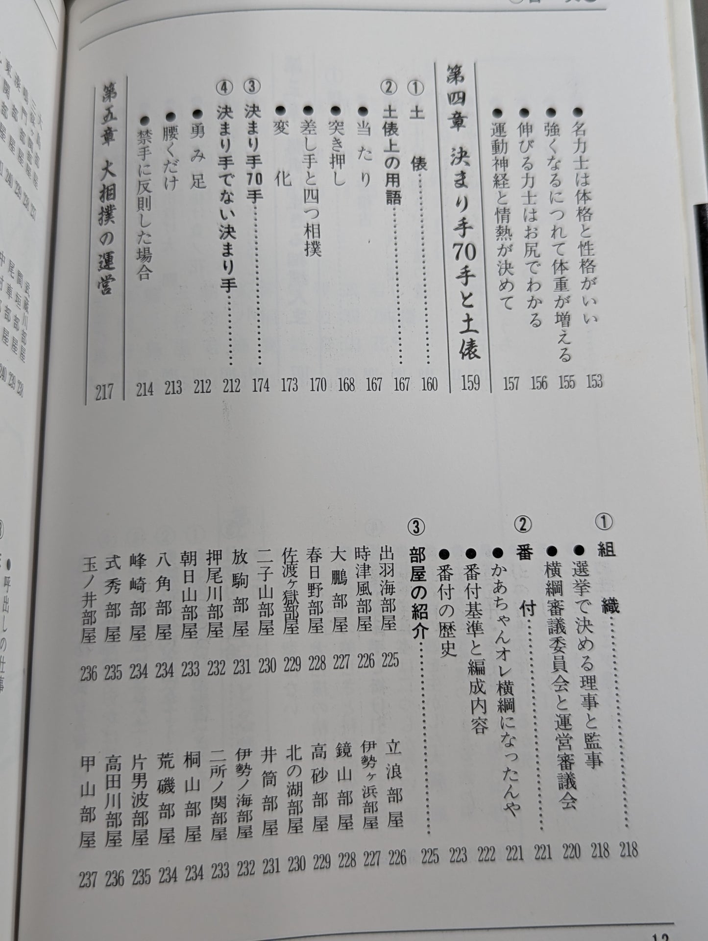 ザ大相撲  95～96年版