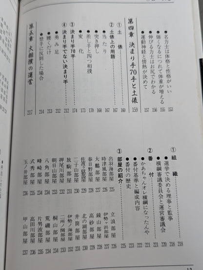 ザ大相撲  95～96年版