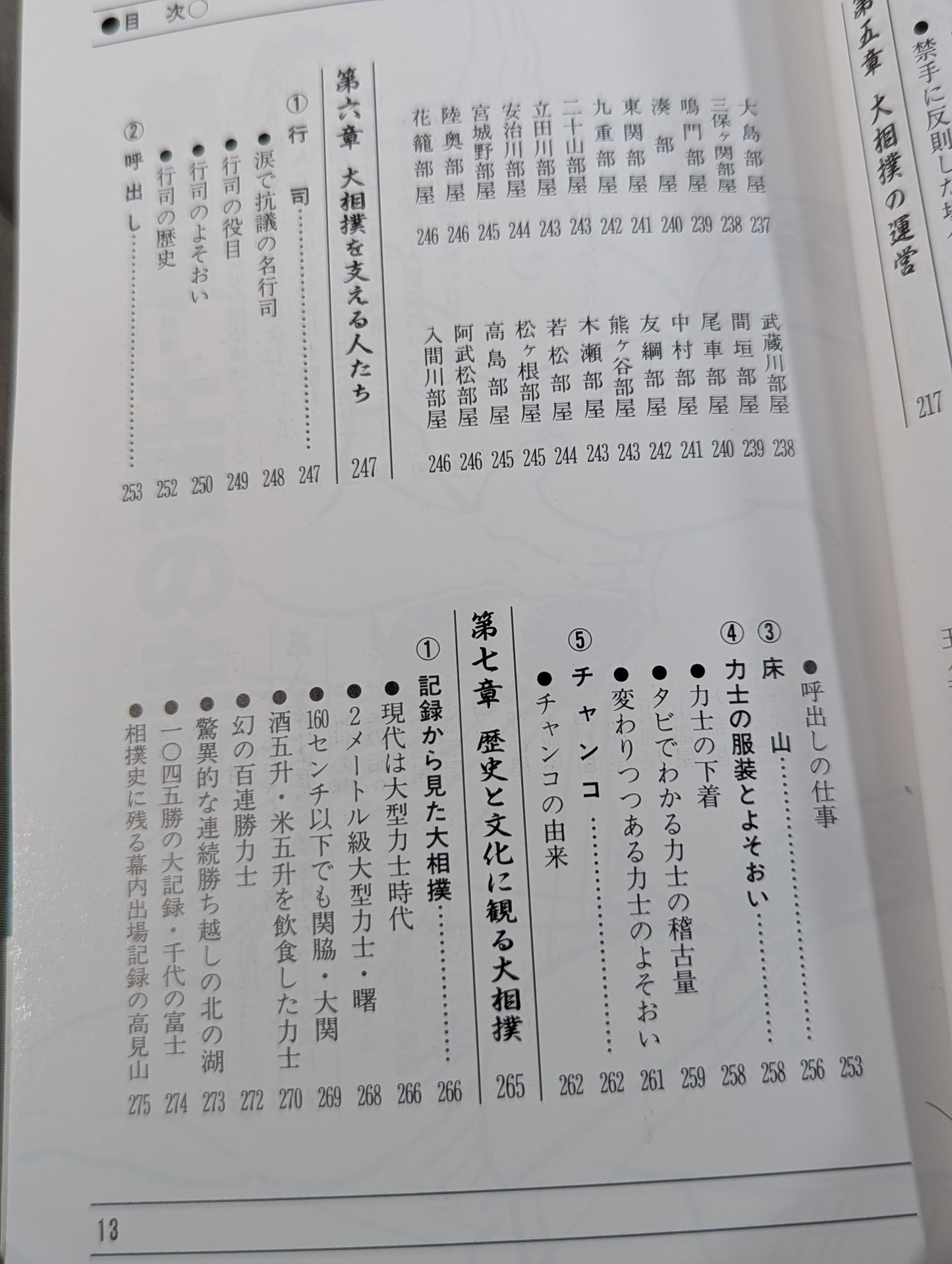ザ大相撲  95～96年版