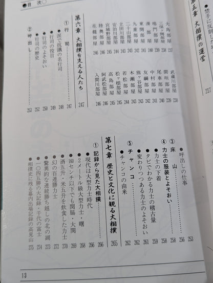 ザ大相撲  95～96年版