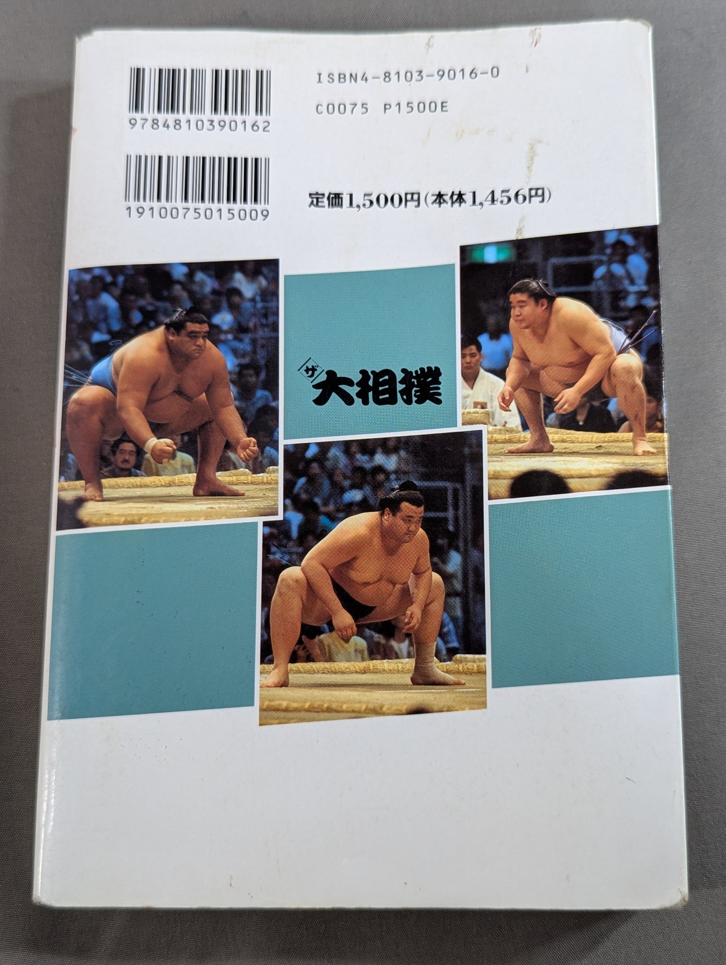 ザ大相撲  95～96年版