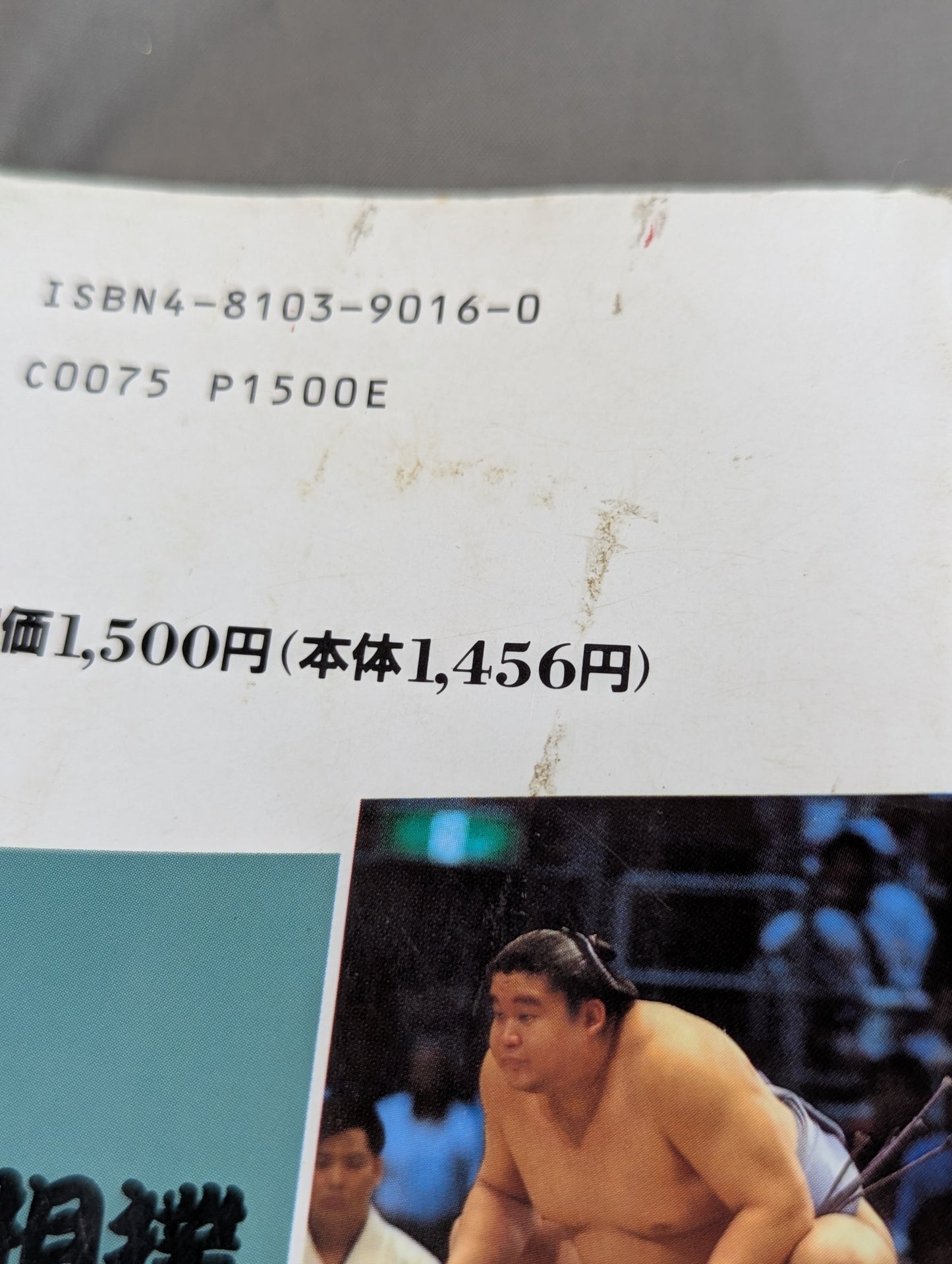 ザ大相撲  95～96年版
