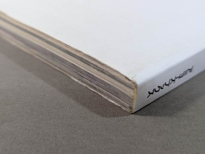 THIS IS NOAH!  プロレスリング・ノア公式“裏”パンフレット