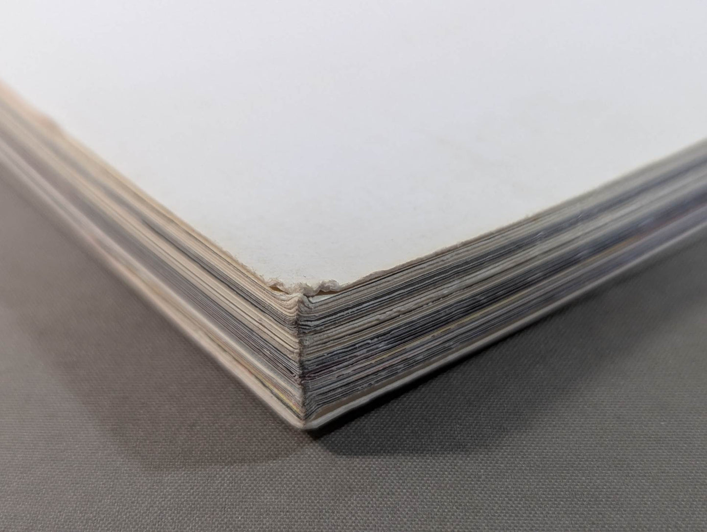 THIS IS NOAH!  プロレスリング・ノア公式“裏”パンフレット