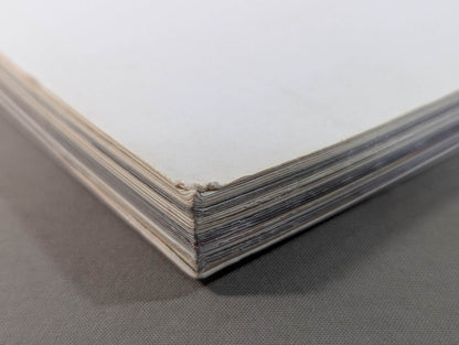 THIS IS NOAH!  プロレスリング・ノア公式“裏”パンフレット