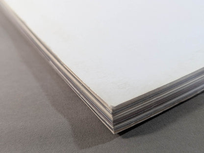 THIS IS NOAH!  プロレスリング・ノア公式“裏”パンフレット