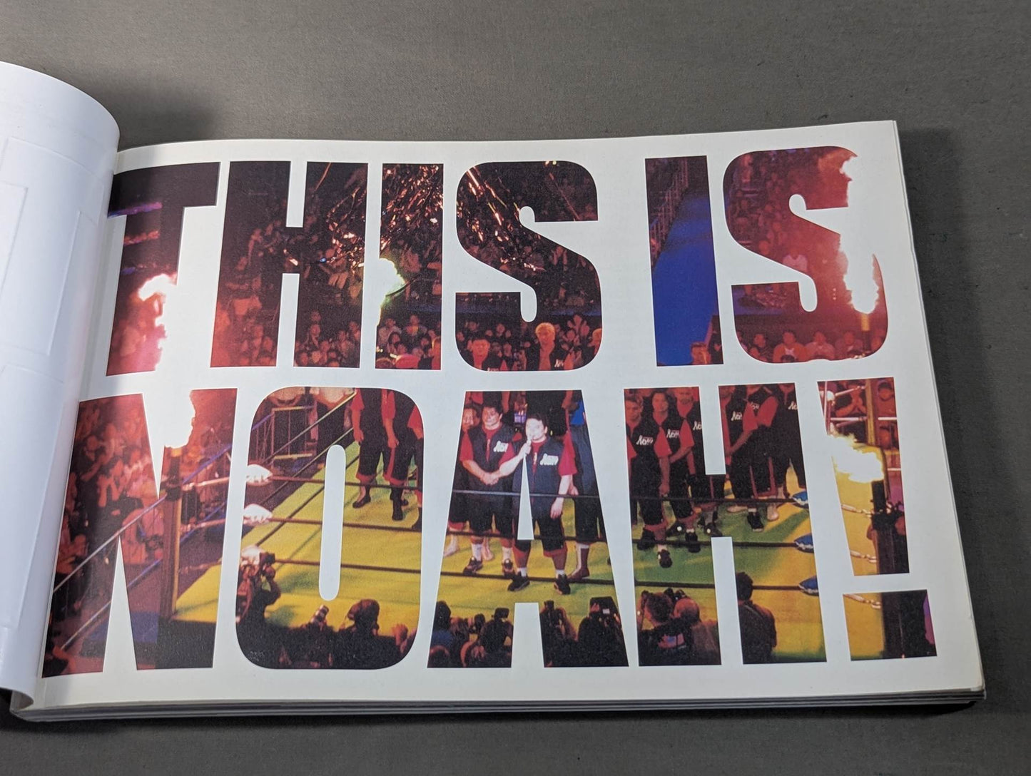 THIS IS NOAH!  プロレスリング・ノア公式“裏”パンフレット