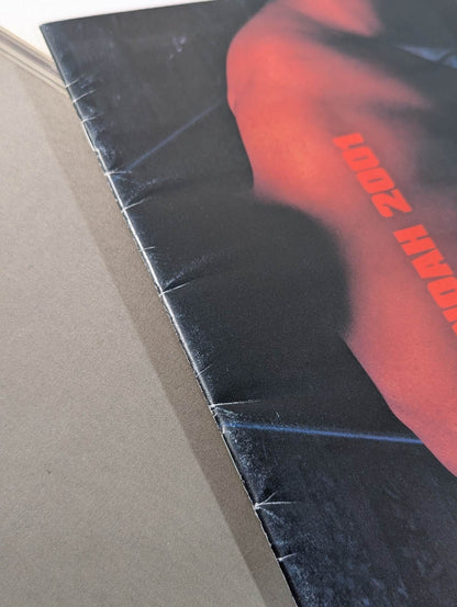 THIS IS NOAH!  プロレスリング・ノア公式“裏”パンフレット