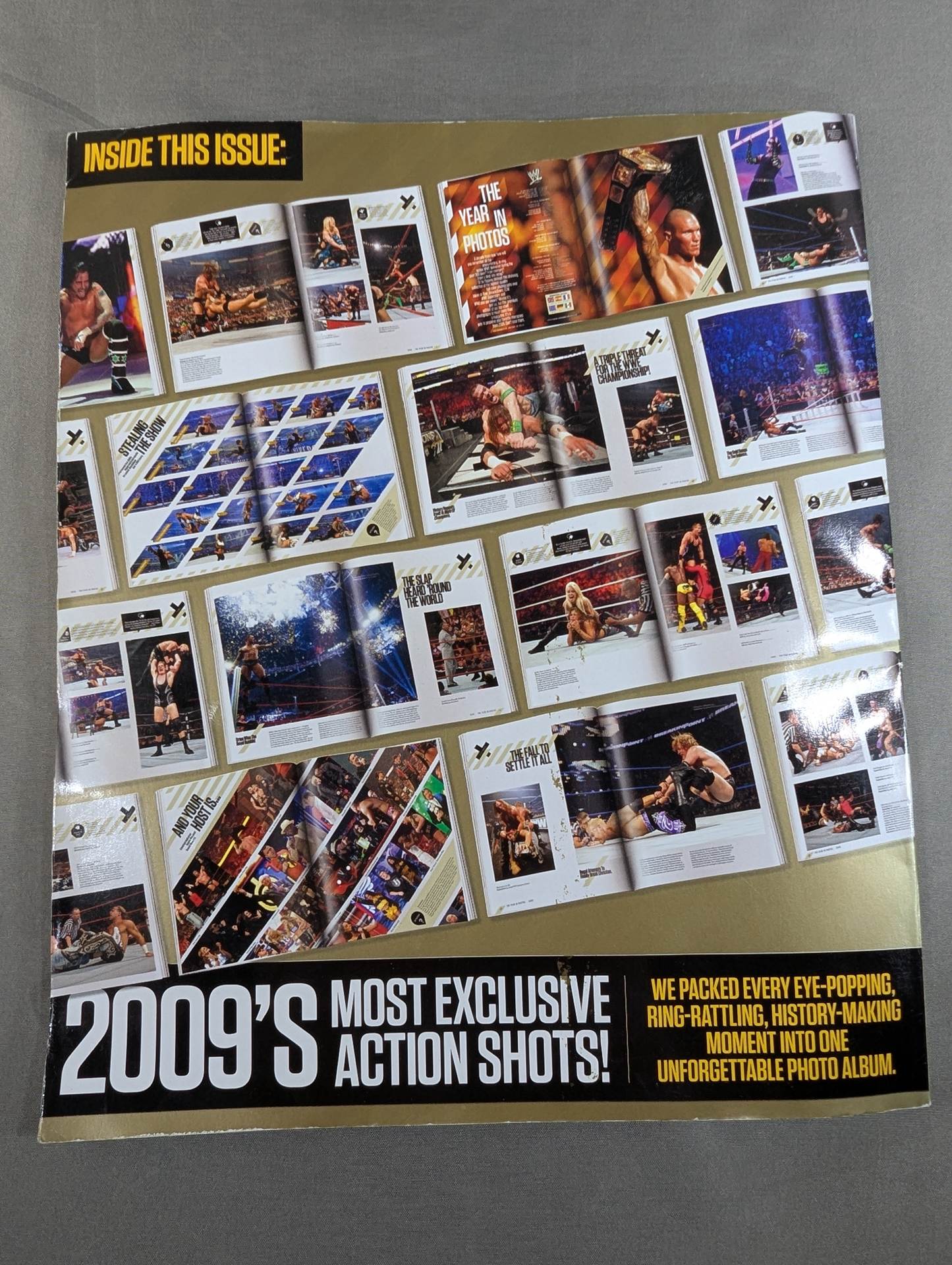 WWE THE YEAR IN PHOTOS 2009