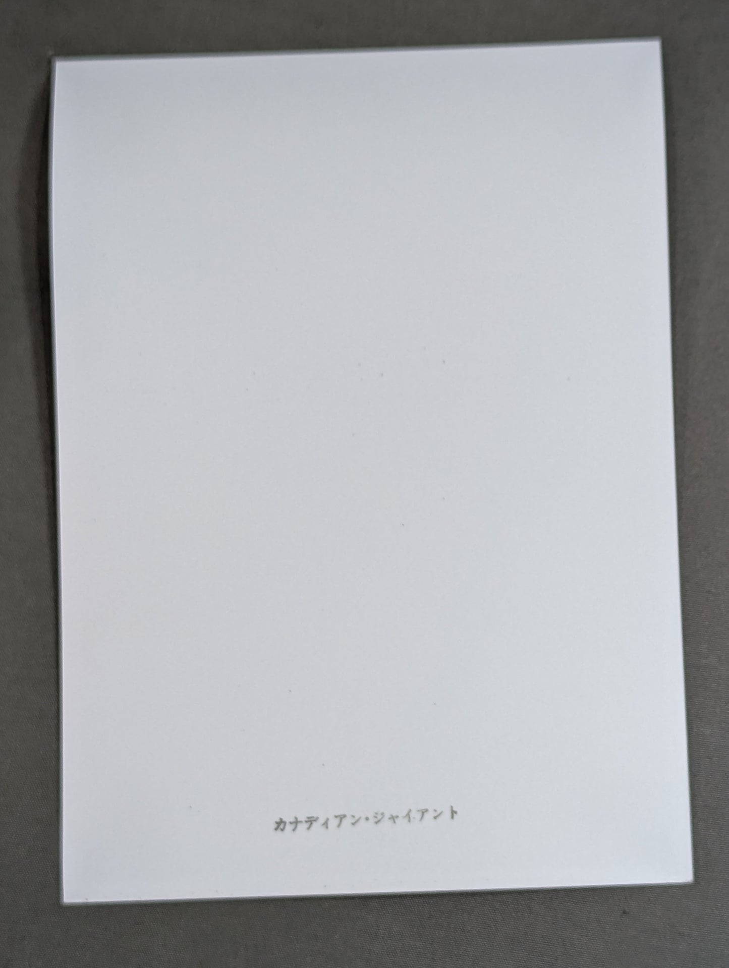 Canadian Giant Black and White photo ①