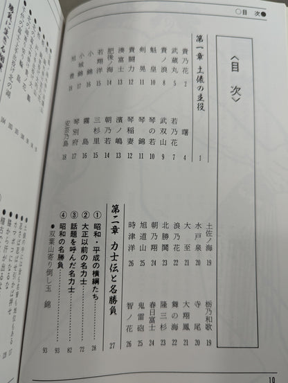 95～96年版 ザ大相撲