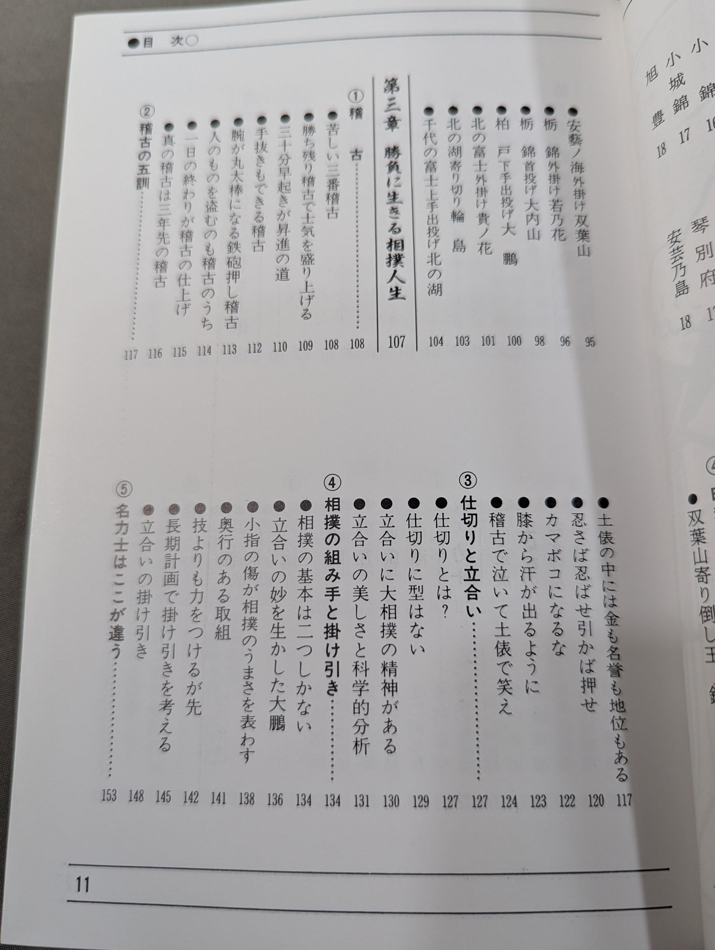 95～96年版 ザ大相撲