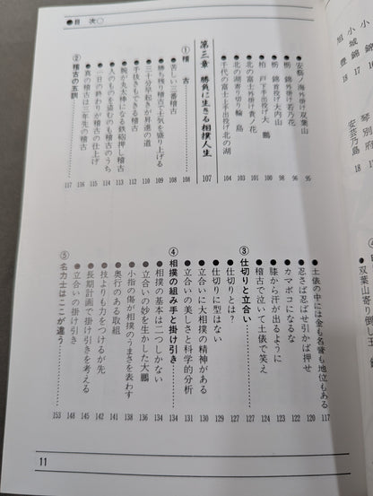 95～96年版 ザ大相撲