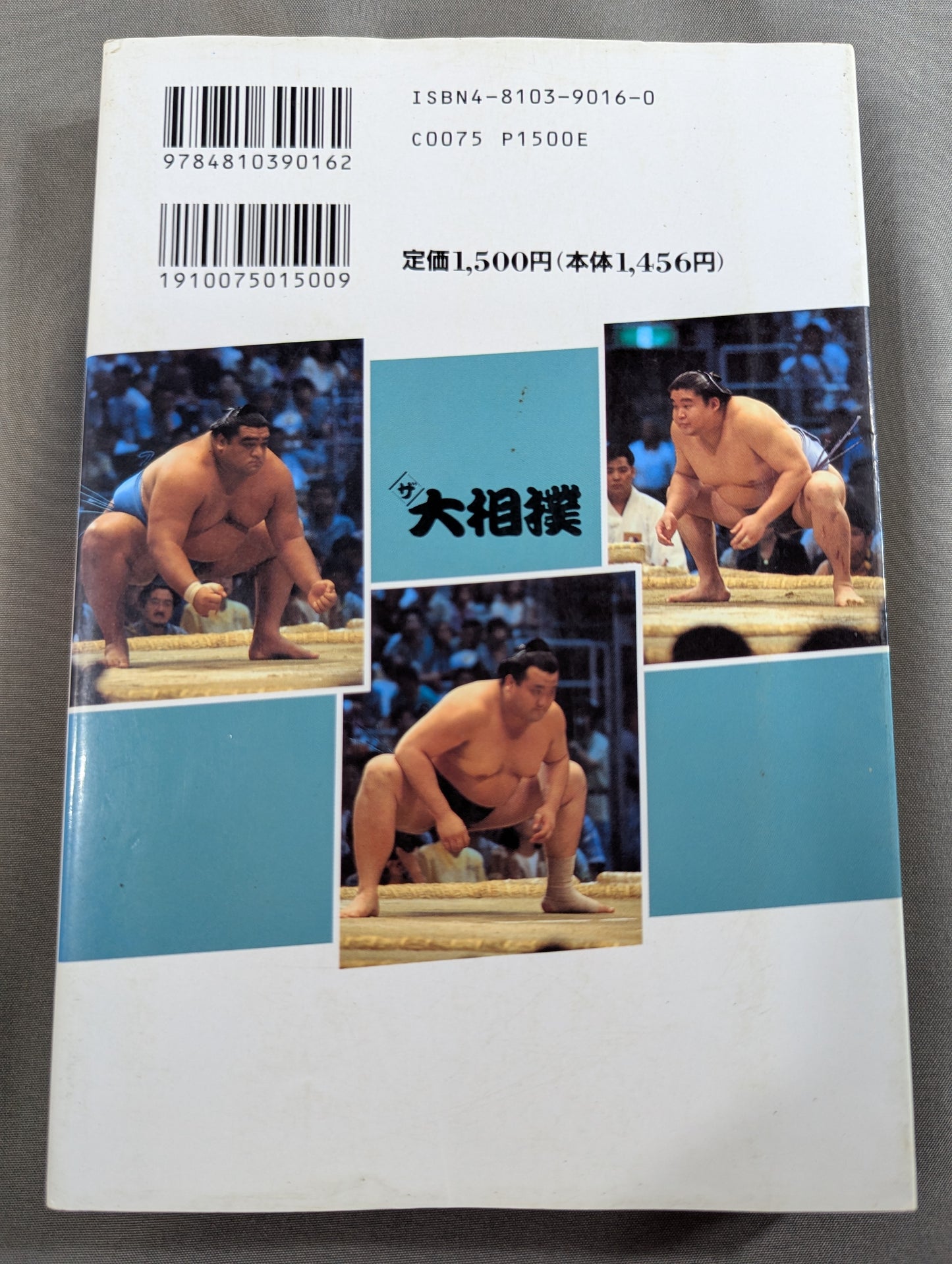 95～96年版 ザ大相撲