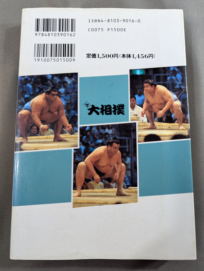 95～96年版 ザ大相撲