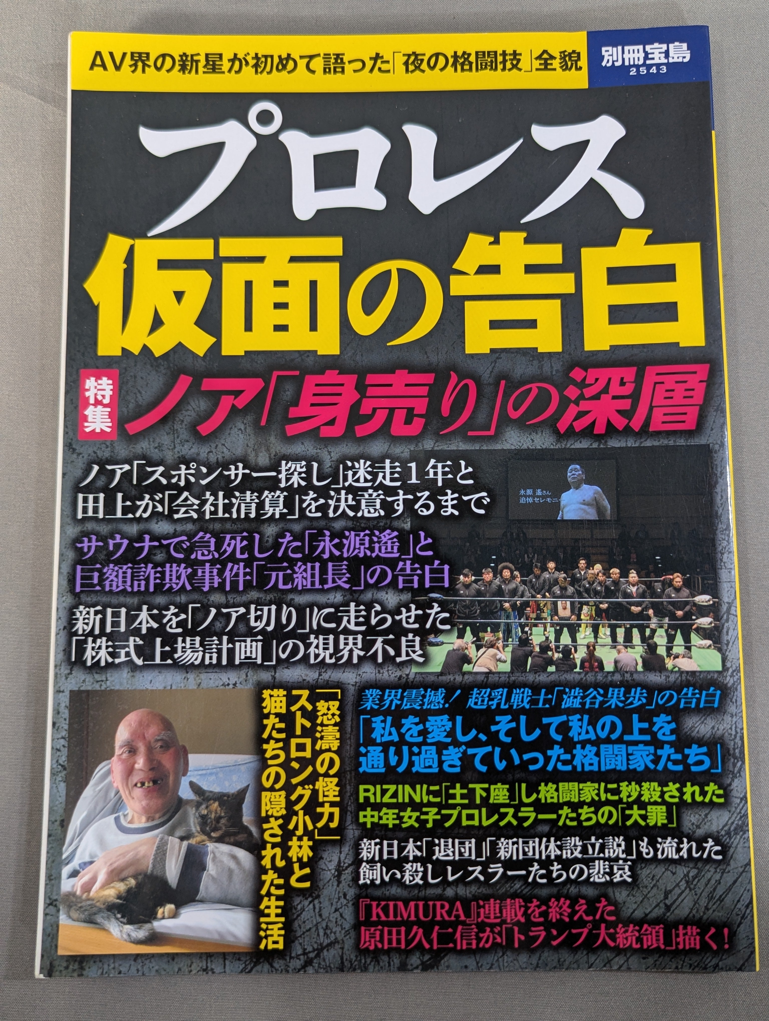 別冊宝島2543 プロレス 仮面の告白 AV界の新星が初めて語った「夜の