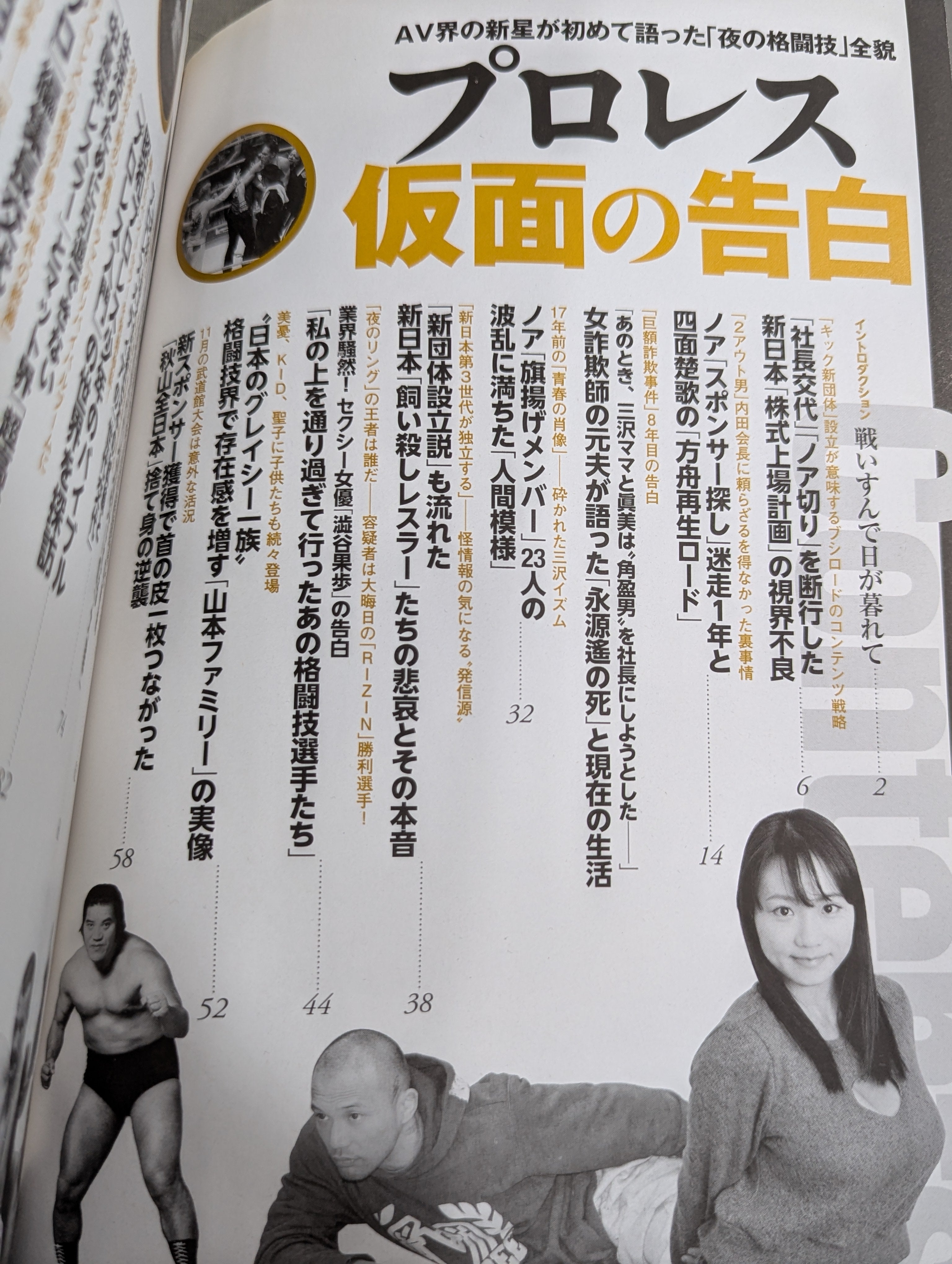 別冊宝島2543 プロレス 仮面の告白 AV界の新星が初めて語った「夜の