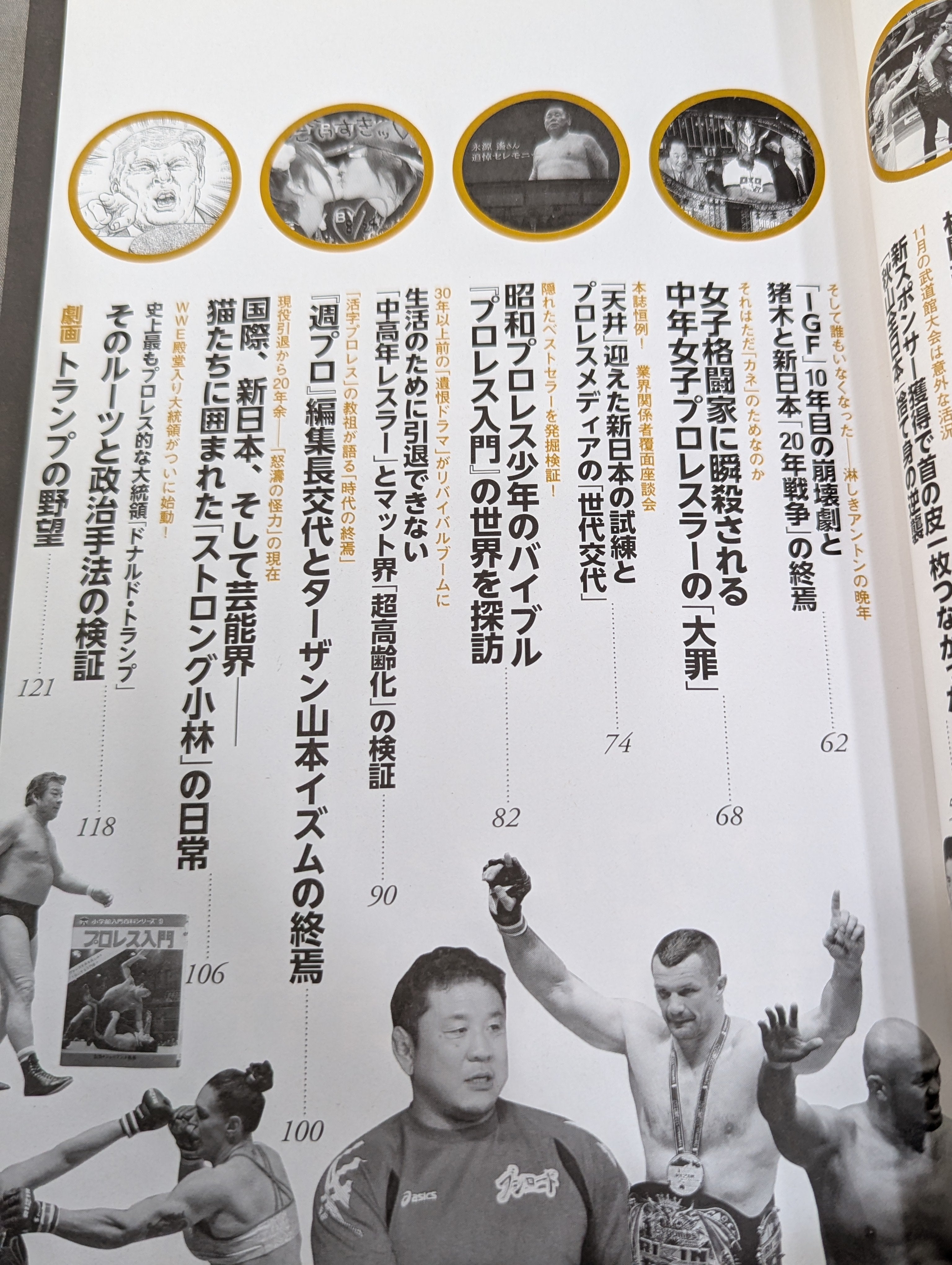 別冊宝島2543 プロレス 仮面の告白 AV界の新星が初めて語った「夜の