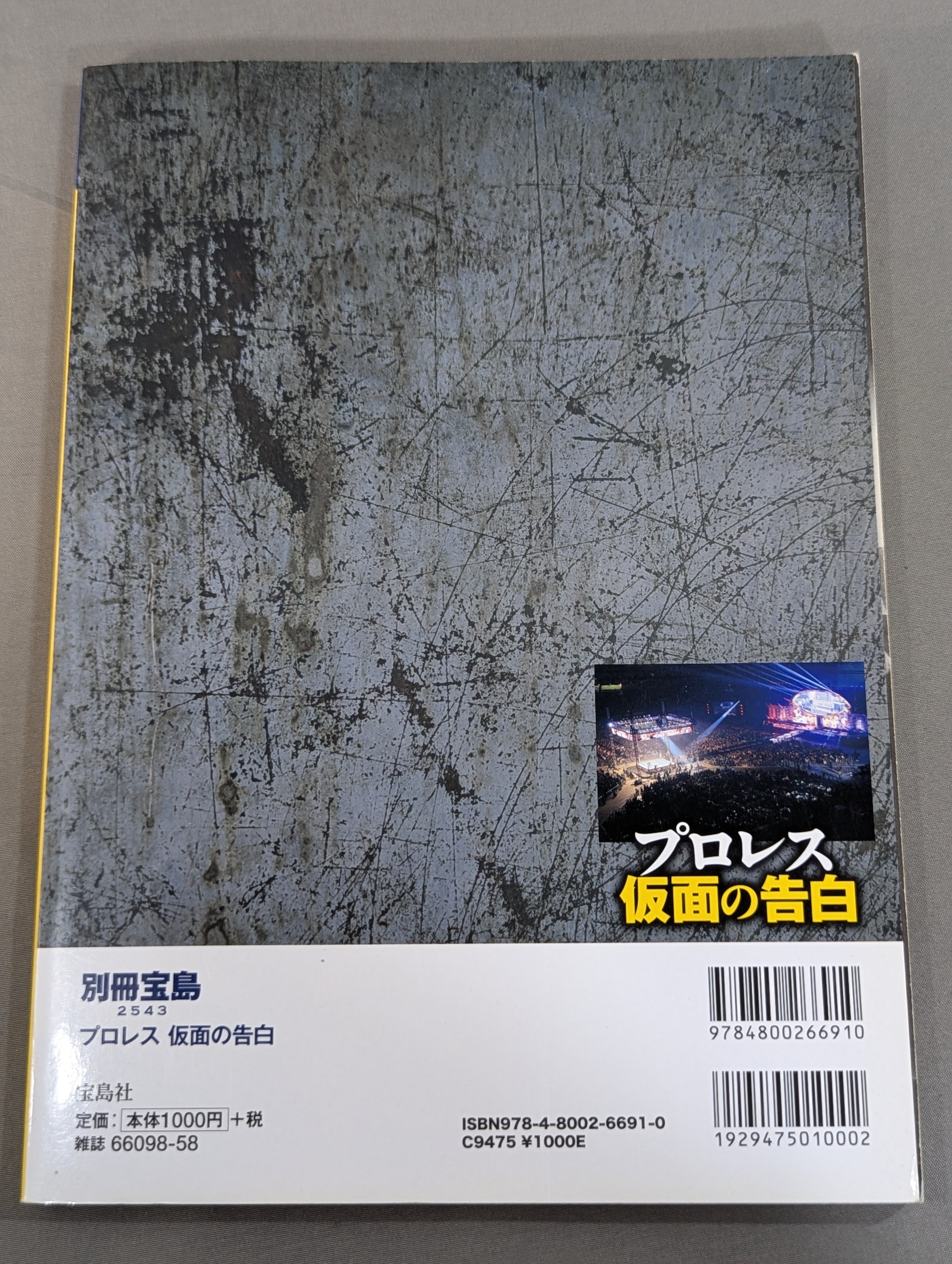 別冊宝島2543 プロレス 仮面の告白 AV界の新星が初めて語った「夜の