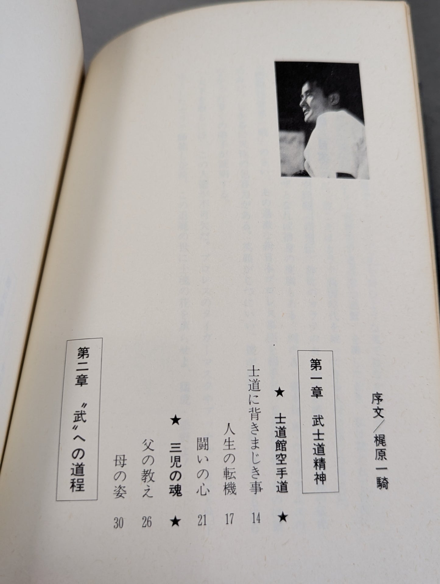 燃えよ士道魂 わが青春の闘い