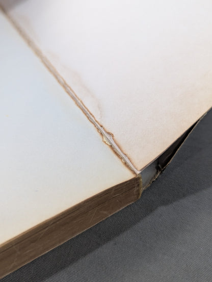 燃えよ士道魂 わが青春の闘い