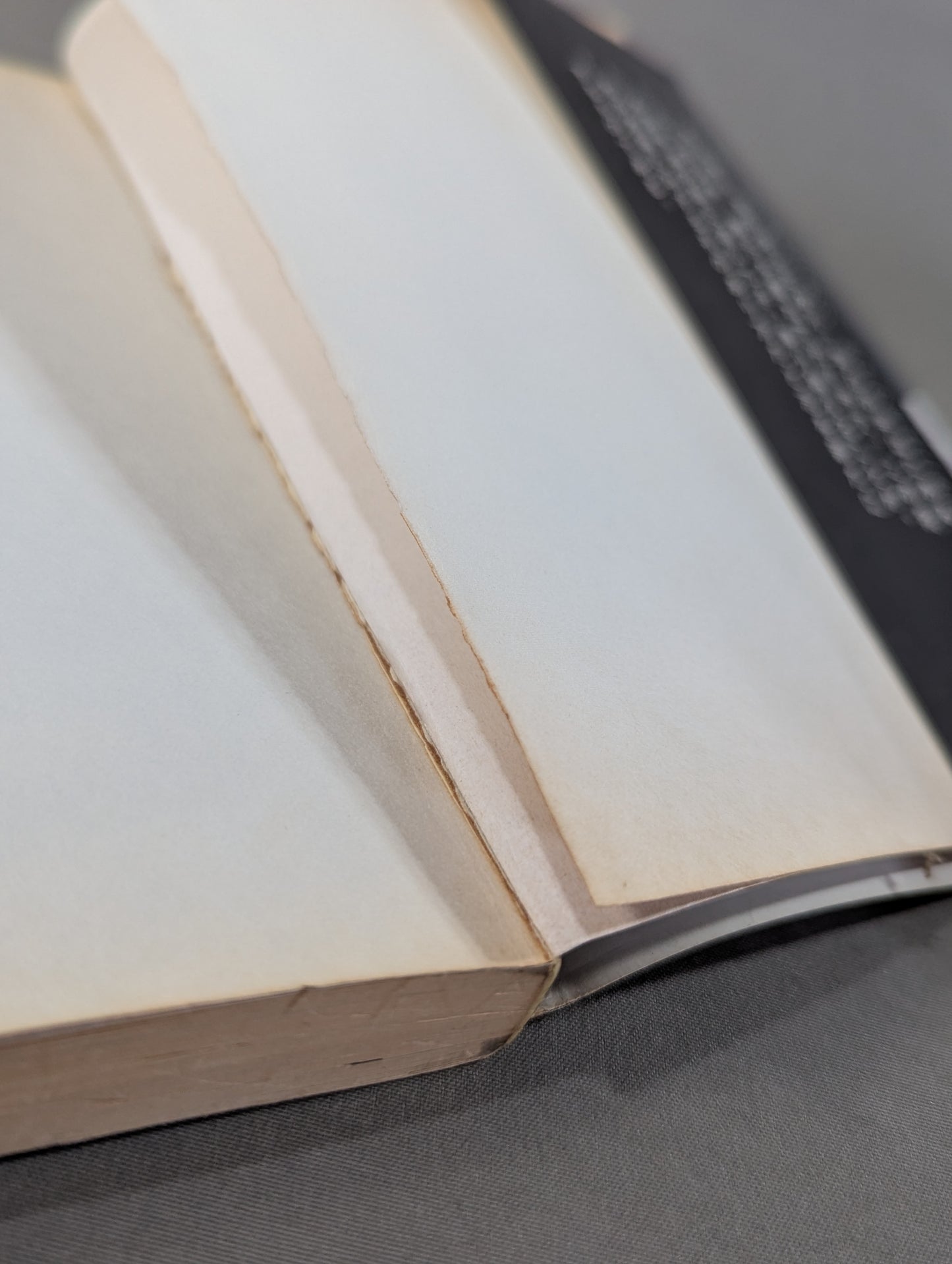 燃えよ士道魂 わが青春の闘い