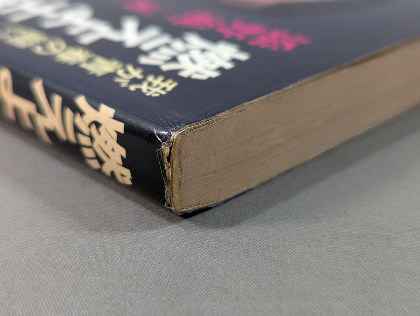 燃えよ士道魂 わが青春の闘い