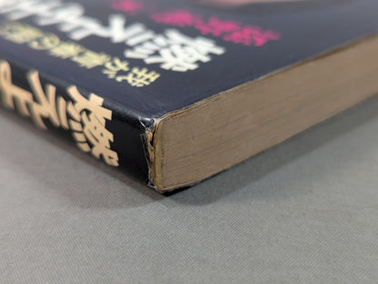 燃えよ士道魂 わが青春の闘い