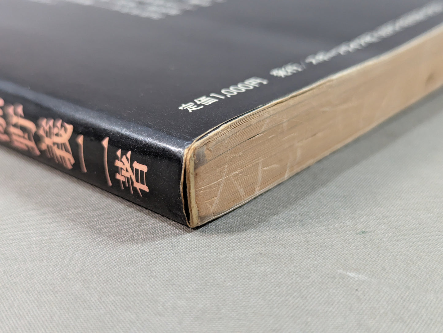 燃えよ士道魂 わが青春の闘い