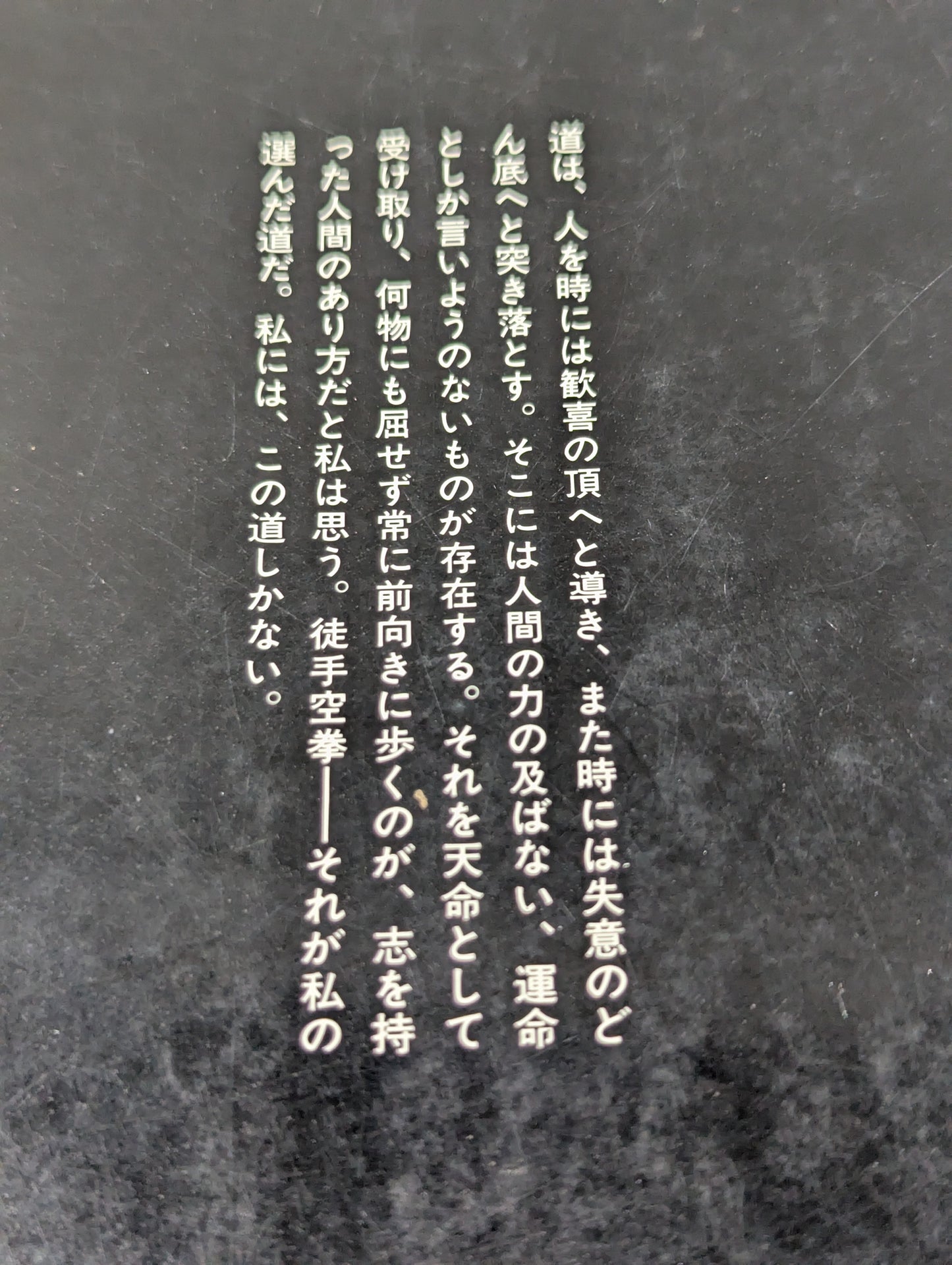 燃えよ士道魂 わが青春の闘い