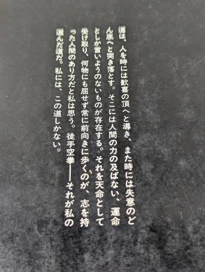 燃えよ士道魂 わが青春の闘い