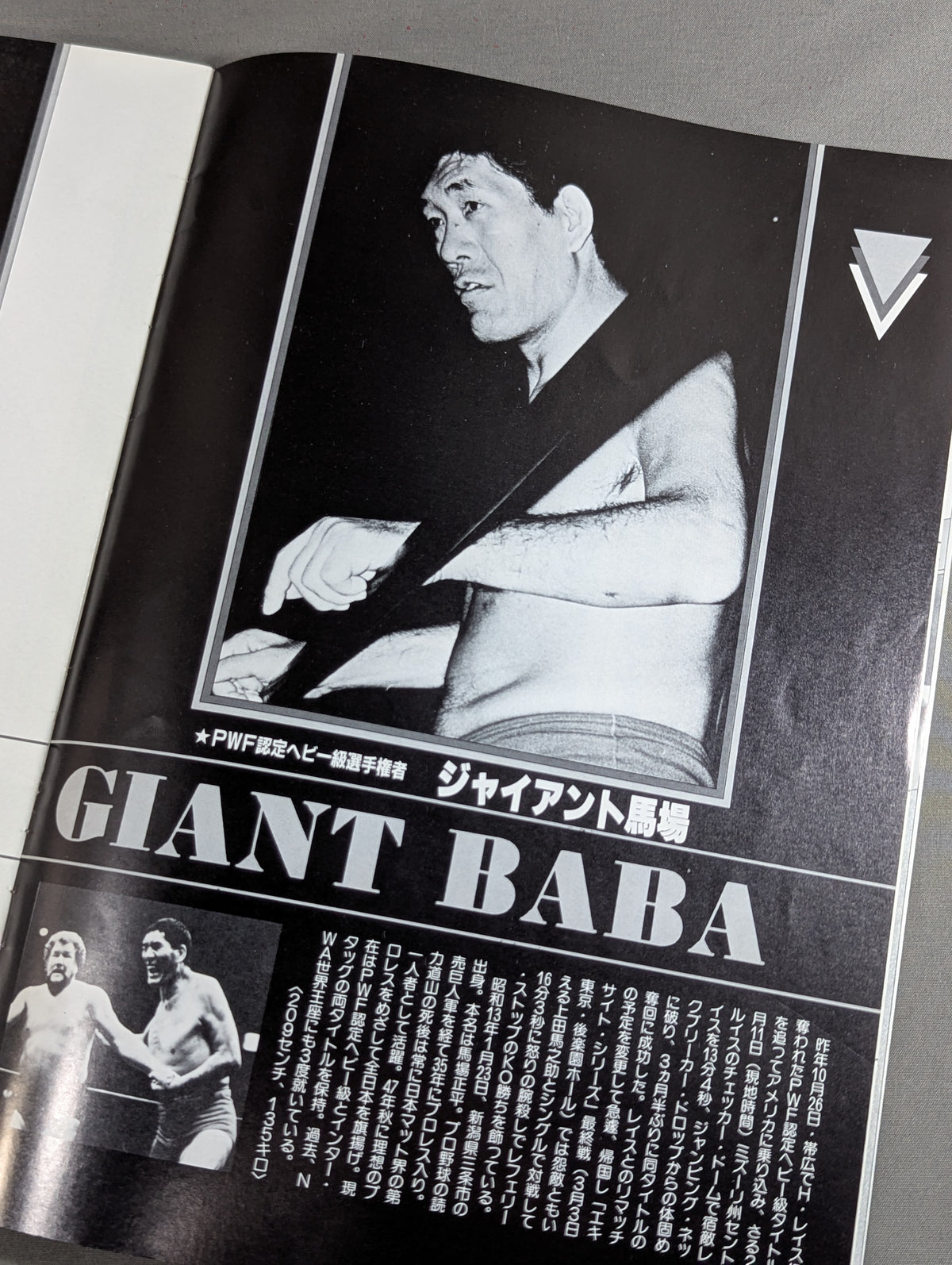 83グランド・チャンピオン・カーニバルⅠ【開幕戦】