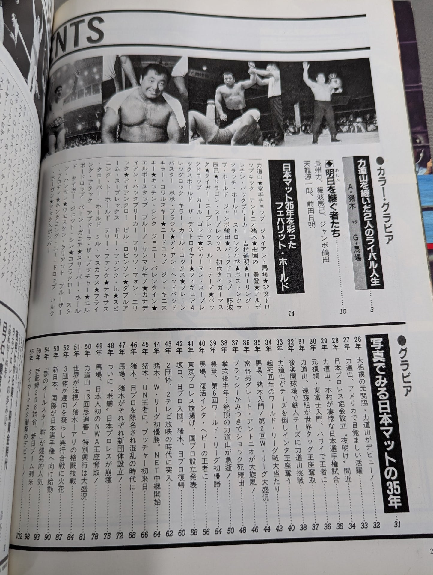 1945~198540 Years of Turbulent Sports (6) Pro Wrestling  Treasured A tumultuous history written with a photo