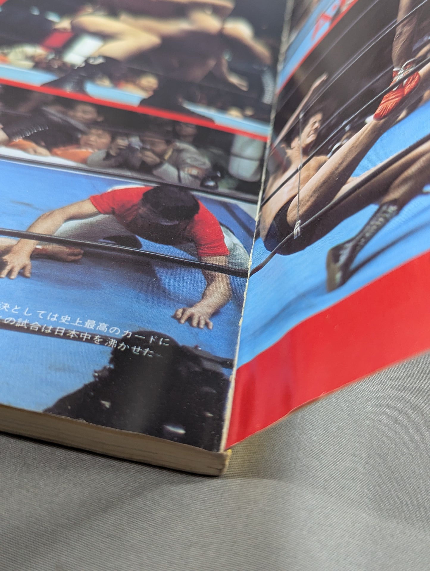 1945~198540 Years of Turbulent Sports (6) Pro Wrestling  Treasured A tumultuous history written with a photo