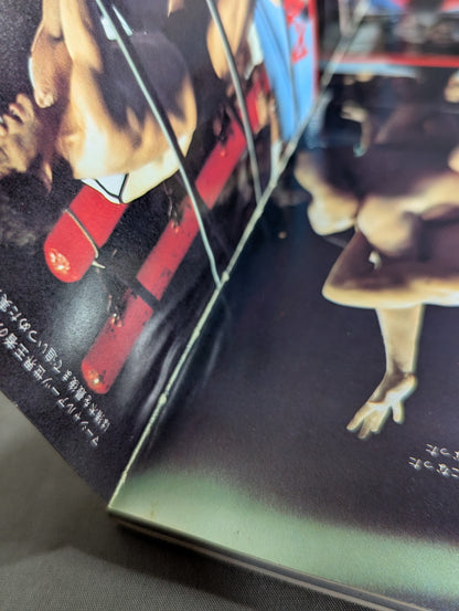 1945~198540 Years of Turbulent Sports (6) Pro Wrestling  Treasured A tumultuous history written with a photo