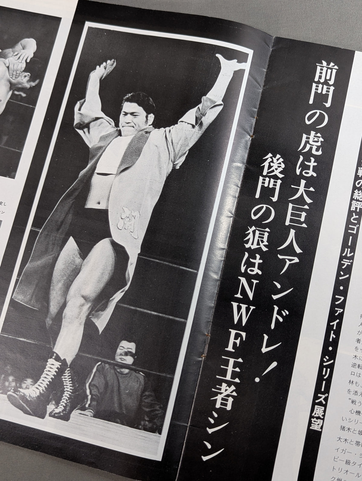 75ゴールデンファイトシリーズ