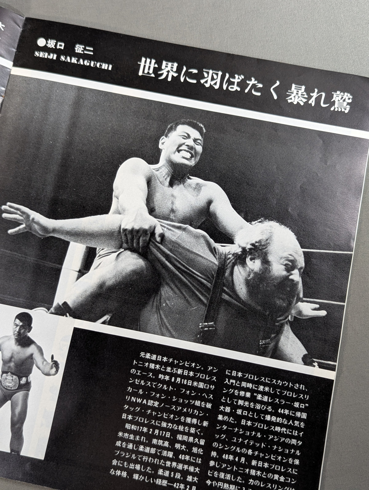 75ゴールデンファイトシリーズ