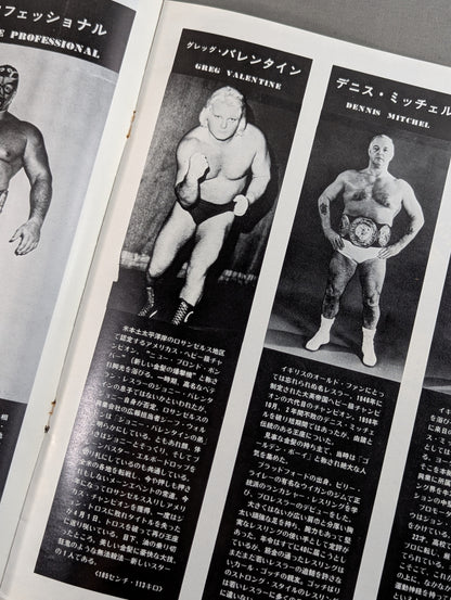75ゴールデンファイトシリーズ