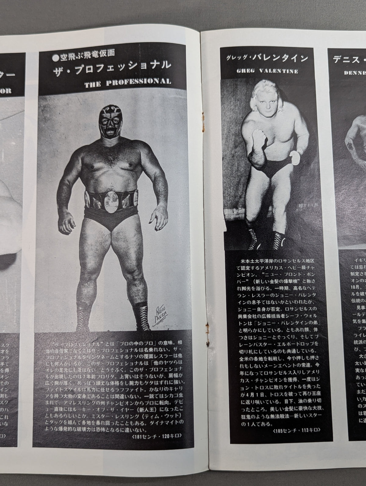 75ゴールデンファイトシリーズ