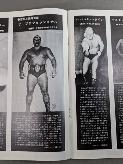 75ゴールデンファイトシリーズ