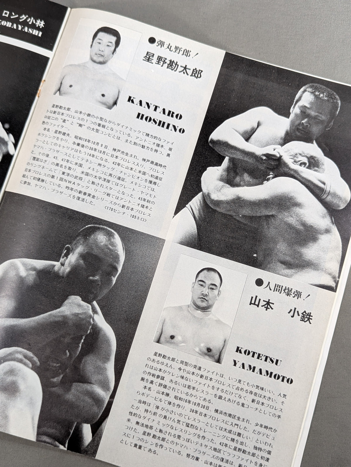 75ゴールデンファイトシリーズ