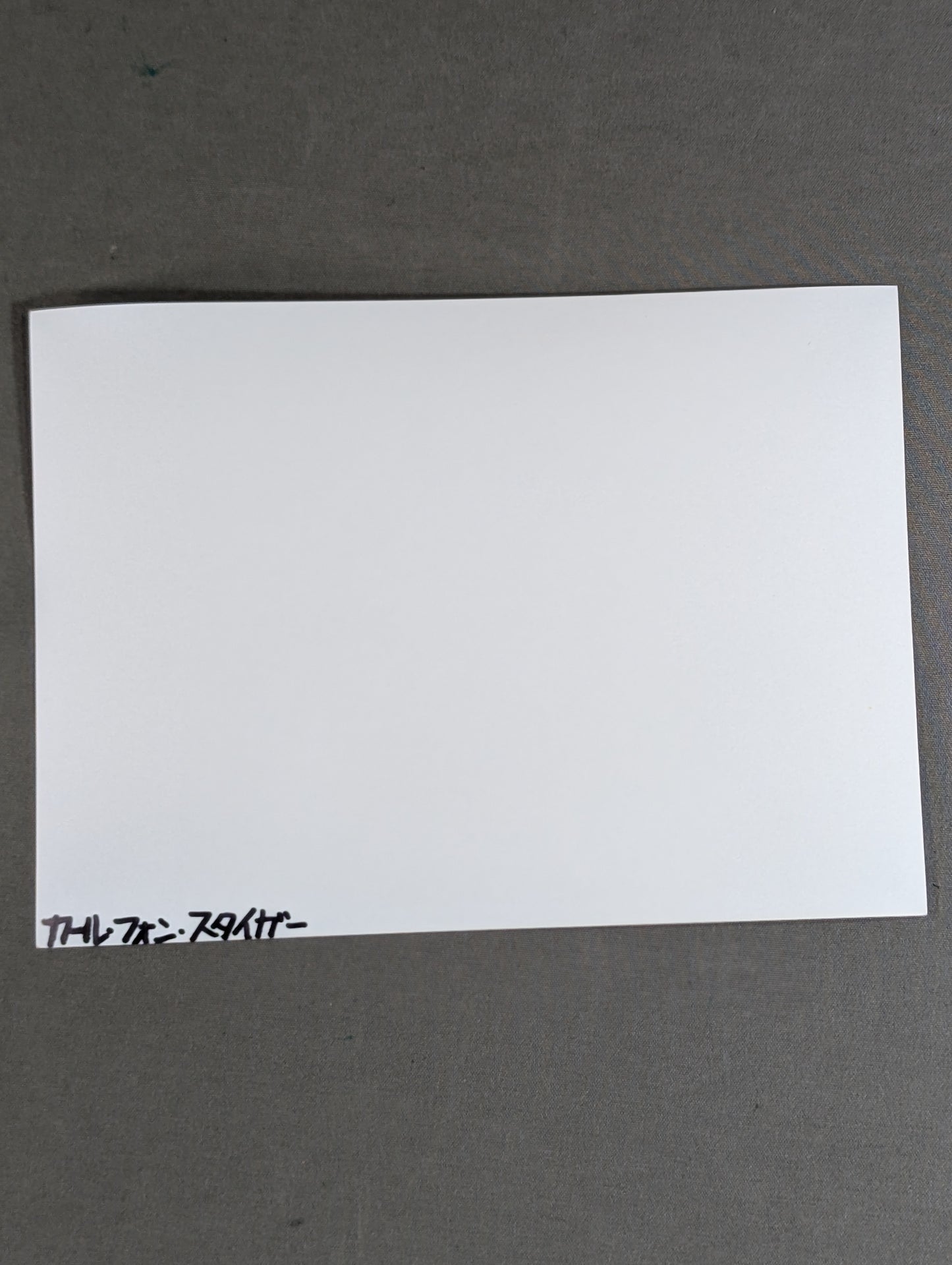 Carl von Steiger Black and White photo ①