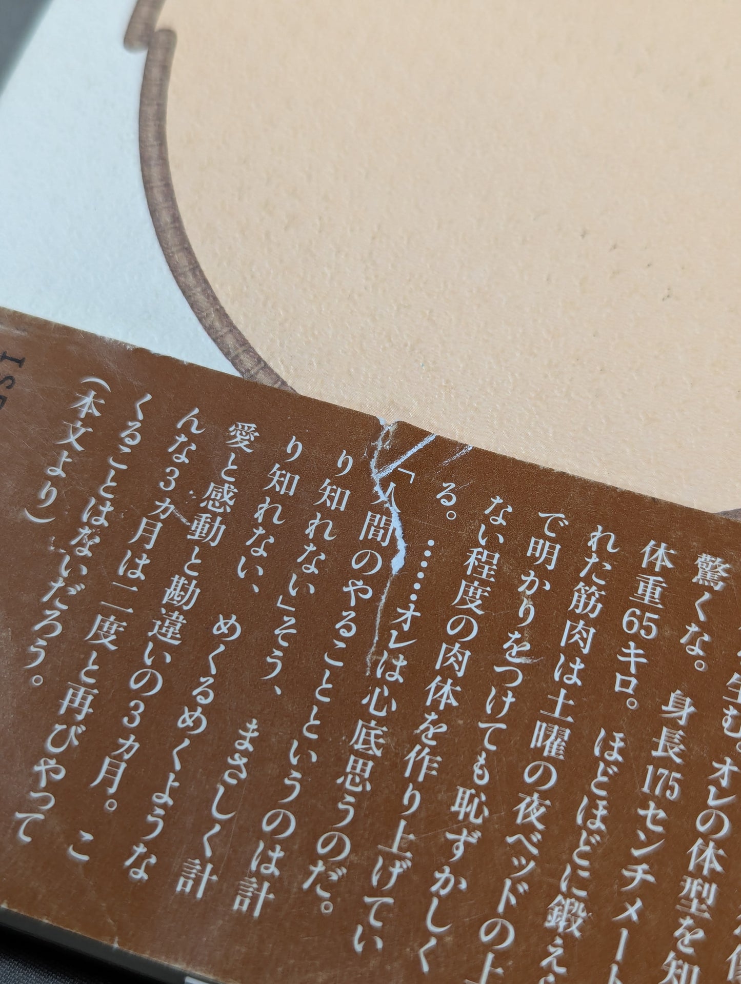 シコふんじゃった。