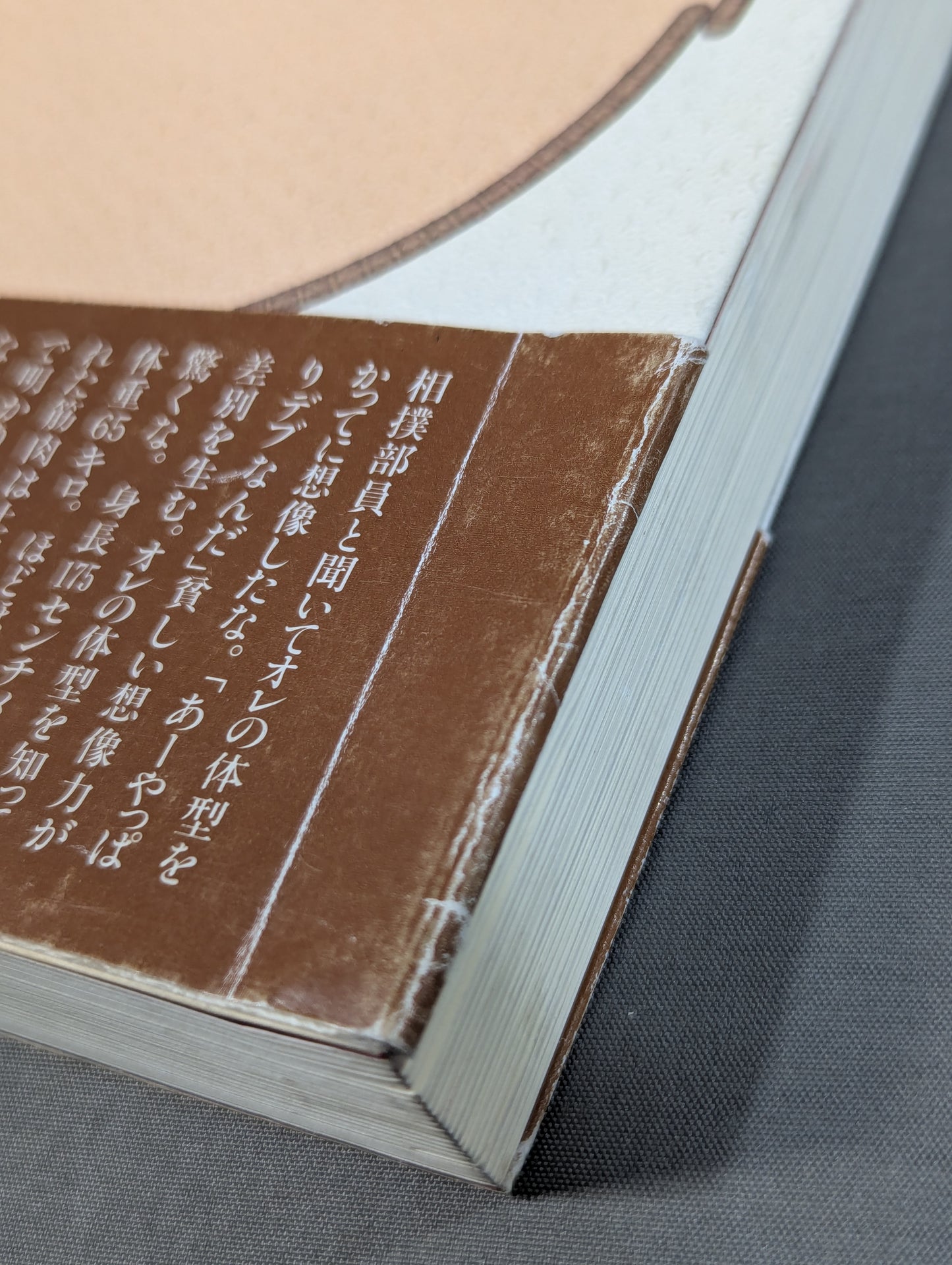 シコふんじゃった。