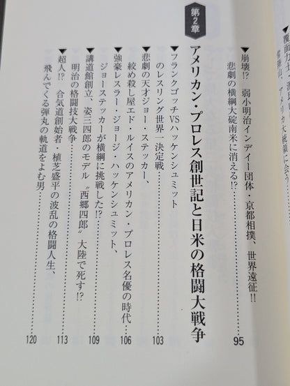 American Pro Wrestling Intermediate Bible: History of Japan-US Combat