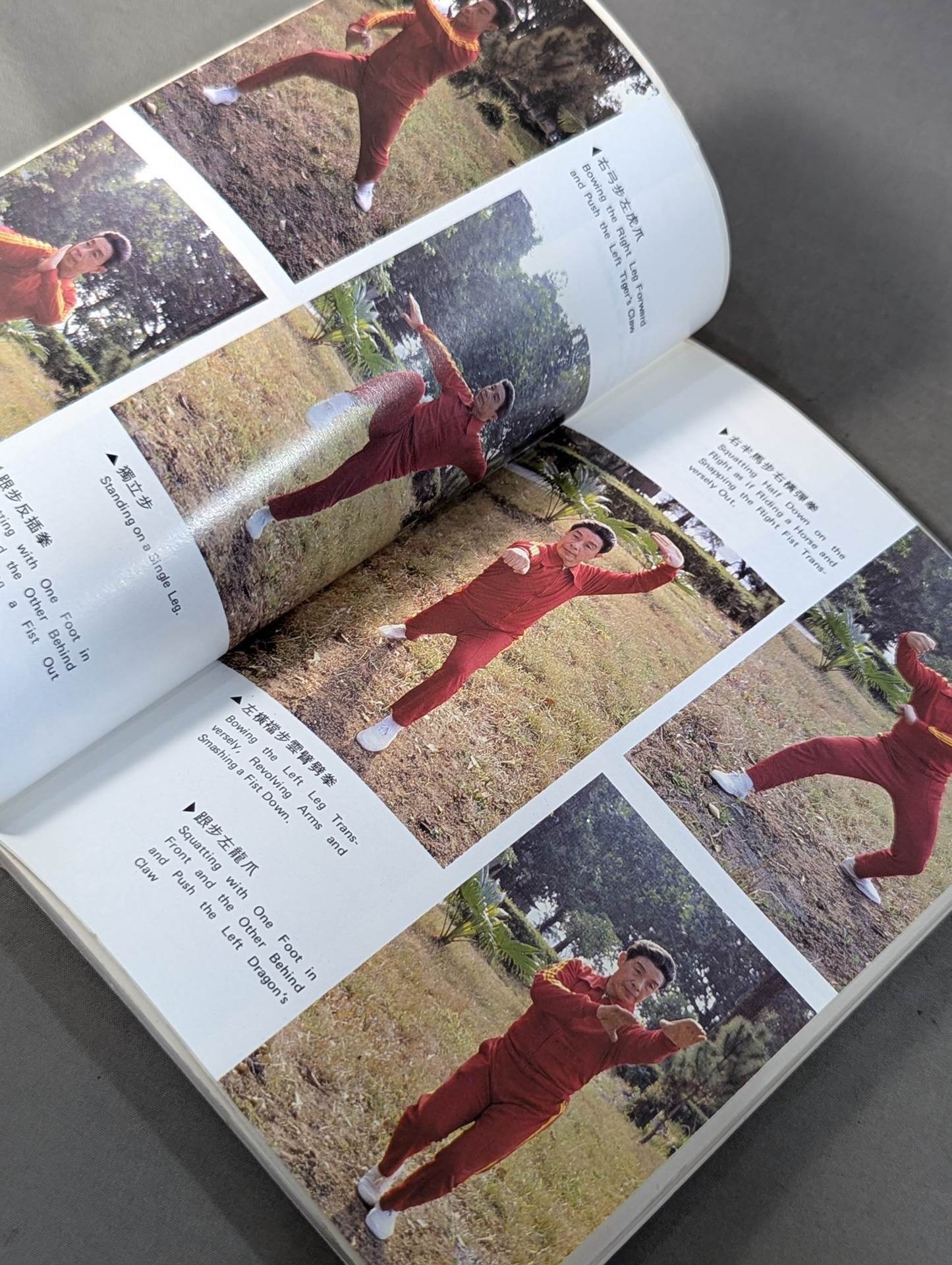 KUNG FU IN SOUTH CHINA